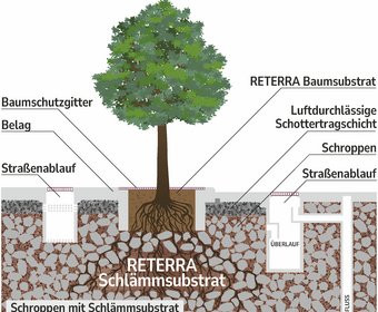 Reterra Schwammstadt Baumpflanzung