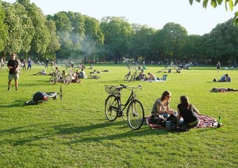 Schweiz Biologischer Pflanzenschutz